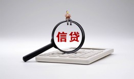 成都22大额短借-成都22哪里可以借钱-成都22个人工程贷款