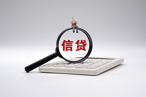 成都22大额短借